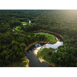 Амазония 